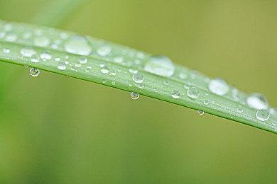 太空科幻策略游戏新作《脆弱的存在》预告片欣赏